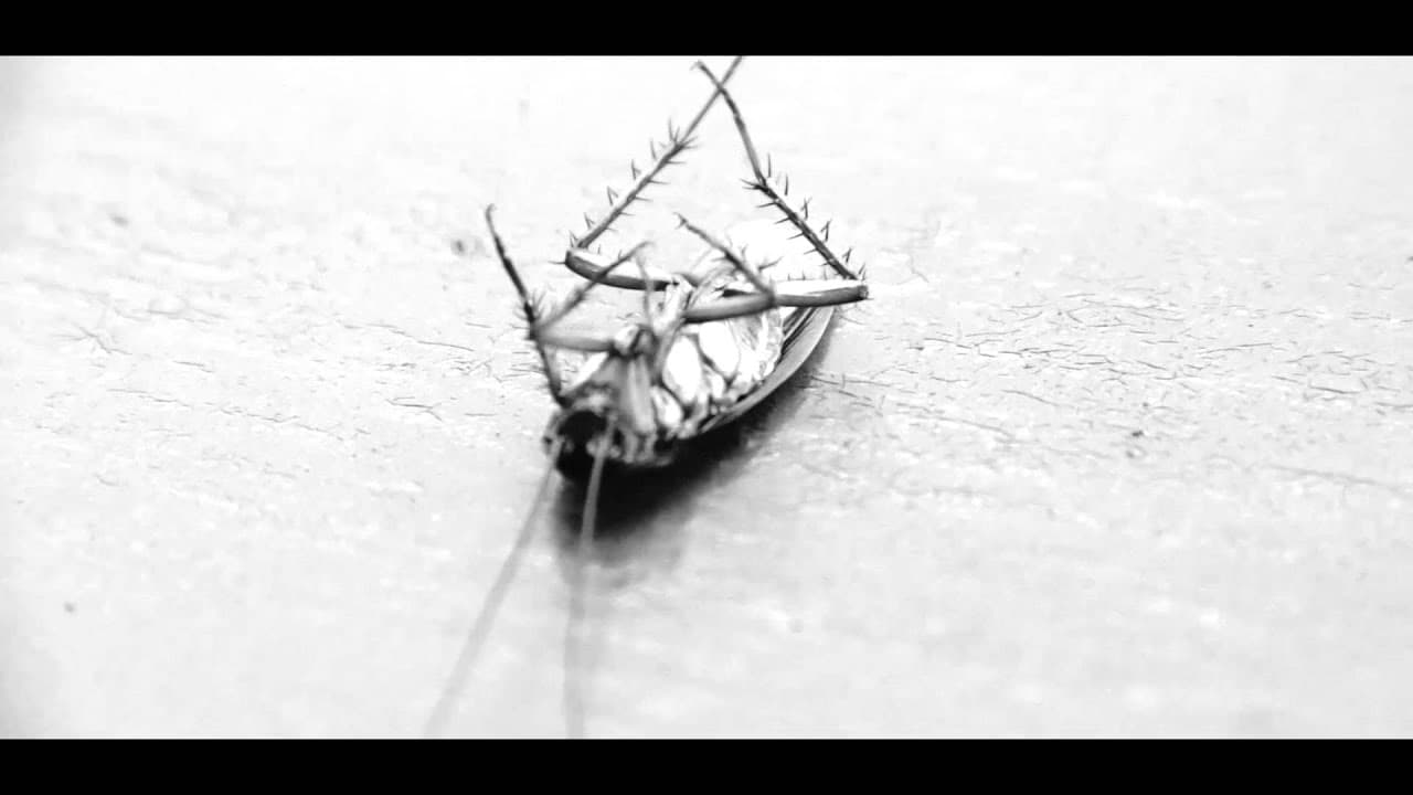 HASHT - Nox