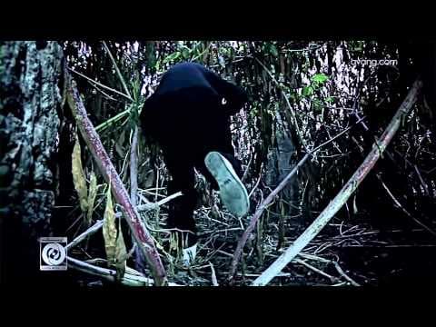 Reza Pishro - Divooneh
