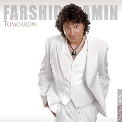 Farshid Amin