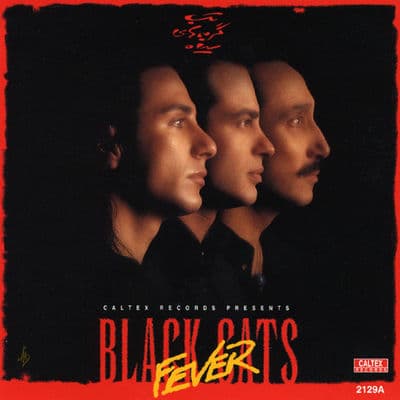Black Cats